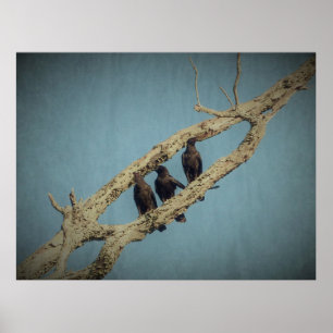 3 Crows Poster