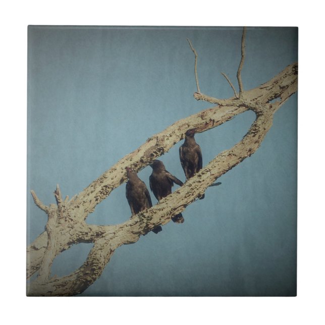 3 Crows Tile (Front)