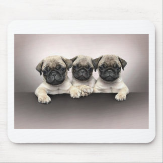 3 Cute Pug Pippies Mouse Mat
