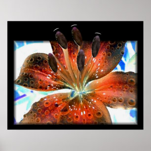 3-D Abstract Lilie Poster