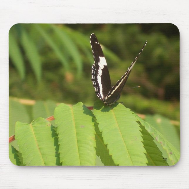 3-D Butterfly Mouse Mat (Front)