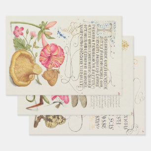 3 different Vintage Garden Scenes Flowers, Insects Wrapping Paper Sheet