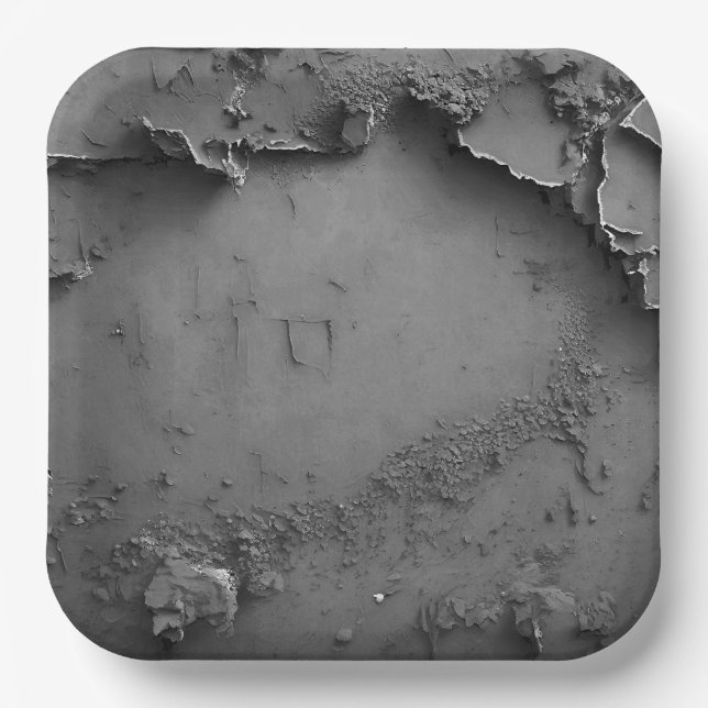 3 Dimensional Grey Rustic Design Paper Plate (Front)