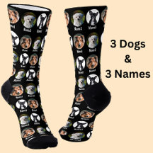 3 Dogs, 3 Names, Dog Photo - Personalised Black