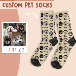 3 Dogs 3 Names Personalised Dog Photo on Daisy Socks