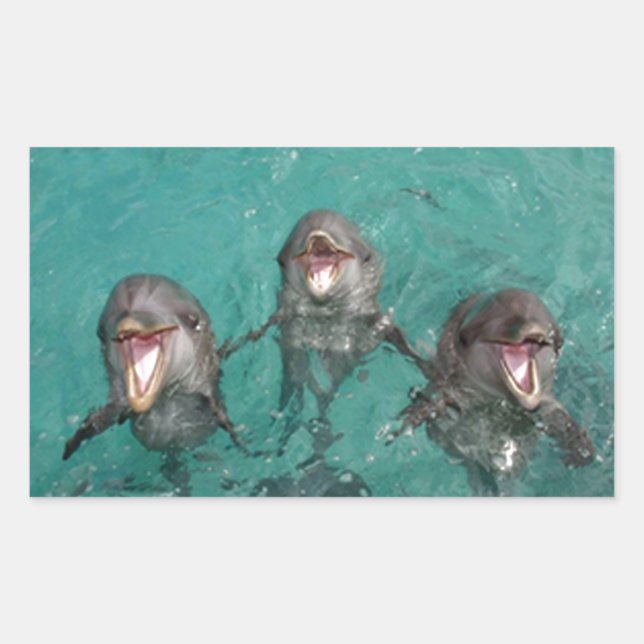 3 Dolphins Rectangular Sticker (Front)