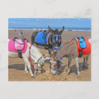 3 Donkeys