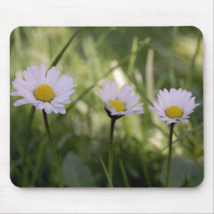 3 Gänseblümchen Mouse Mat