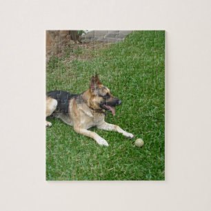 3 german-shepherd-laying.png jigsaw puzzle