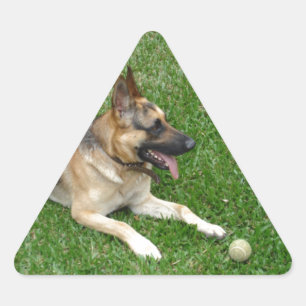 3 german-shepherd-laying.png triangle sticker