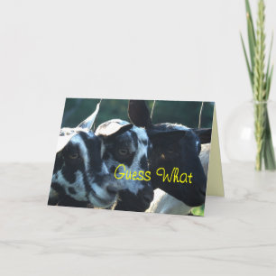 3 Goat Kids- customise any occasion Card