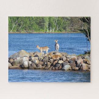 3 Goats on Rocks jigsaw puzzle