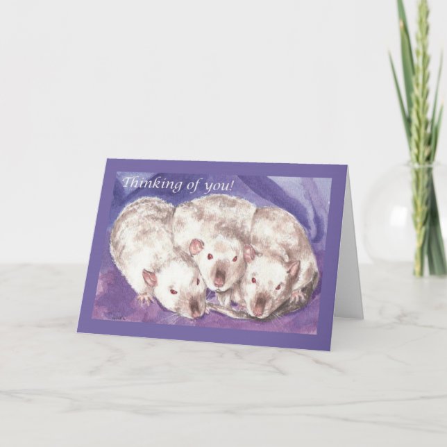 3 Himis Thinking of You Card (Front)