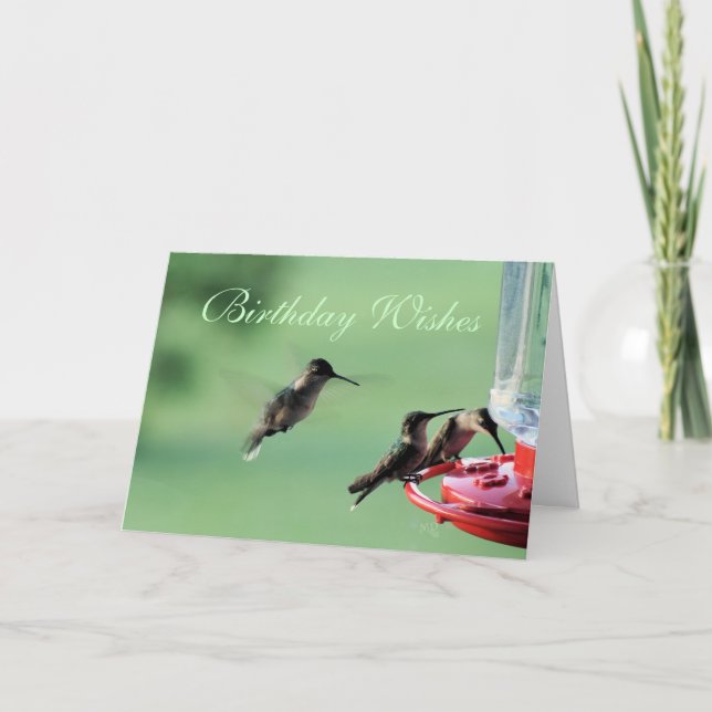 3 Hummingbirds at feeder- customise any occasion Card (Front)