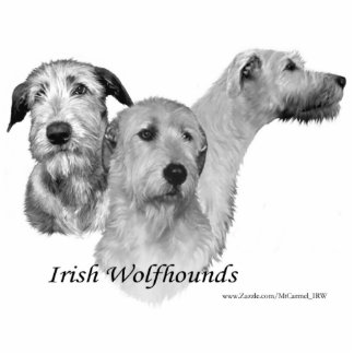 3 Irish Wolfhound heads Photo Sculpture Magnet