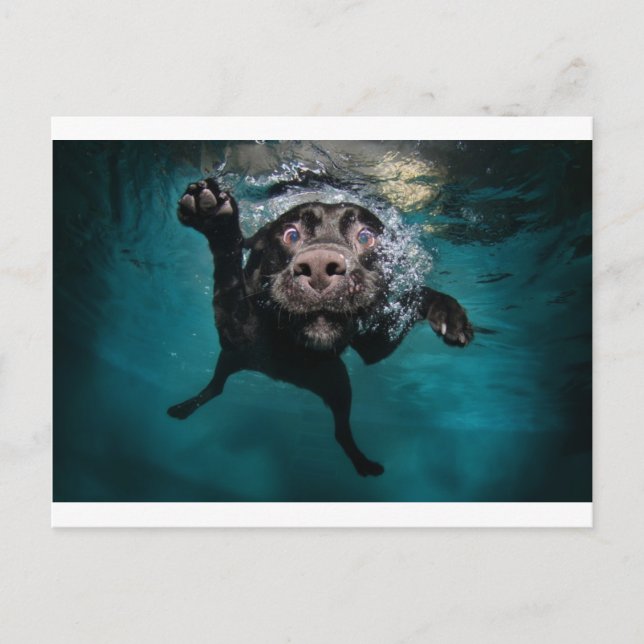 3.jpeg postcard (Front)