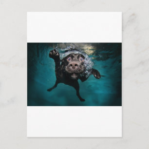 3.jpeg postcard
