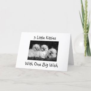 3 KITTIES WITH ONE BIG WISH-HAPPY 1st BIRTHDAY Card
