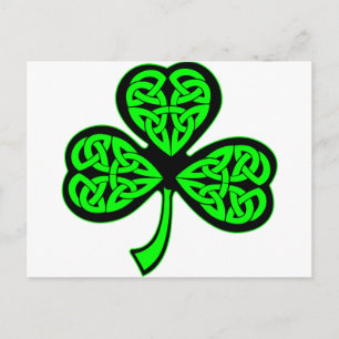 3 Leaf Celtic Shamrock Postcard