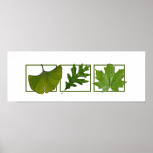 3 leaves poster
