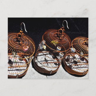 3 Little Birds in China Postcard