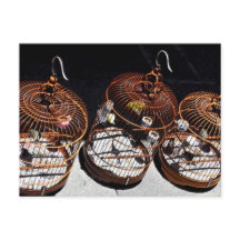 3 Little Birds in China Postcard