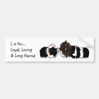 3 long haired piggies bumper sticker