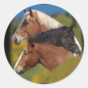 3 mare heads classic round sticker