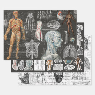 3 Medical Body Halloween Collage Ephemera Sheets