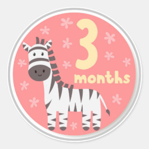 3 Month Baby Milestone Classic Round Sticker