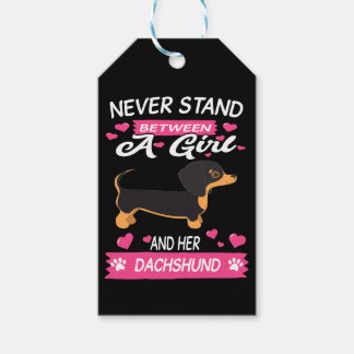 3 Never Stand Between A Girl And Her Dachshund Gift Tags
