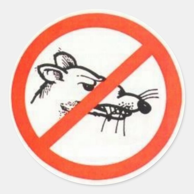 3" No Rat sticker (Front)