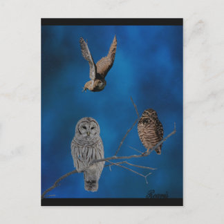 3 Owls - 2 Postcard