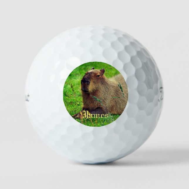 3 Pack Fun Personalised Capybara Animal Golf Balls (Front)