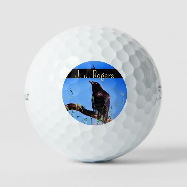 (3 Pack) Wildlife Raven Bird Personalised Golf Balls (Front)