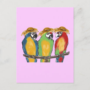 3 Parrots Postcard