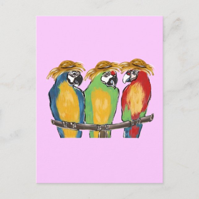 3 Parrots Postcard (Front)