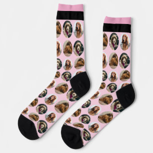 3 Photo Dachshund Crew Socks