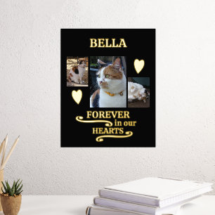 3 photo name pets forever memorial black gold foil prints
