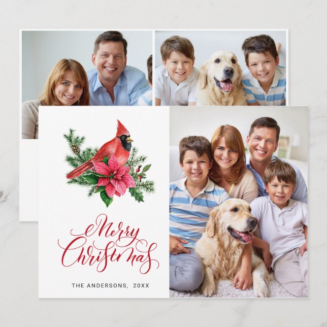 3 PHOTO Poinsettia Red Cardinal Christmas Greeting Holiday Card (Front/Back)