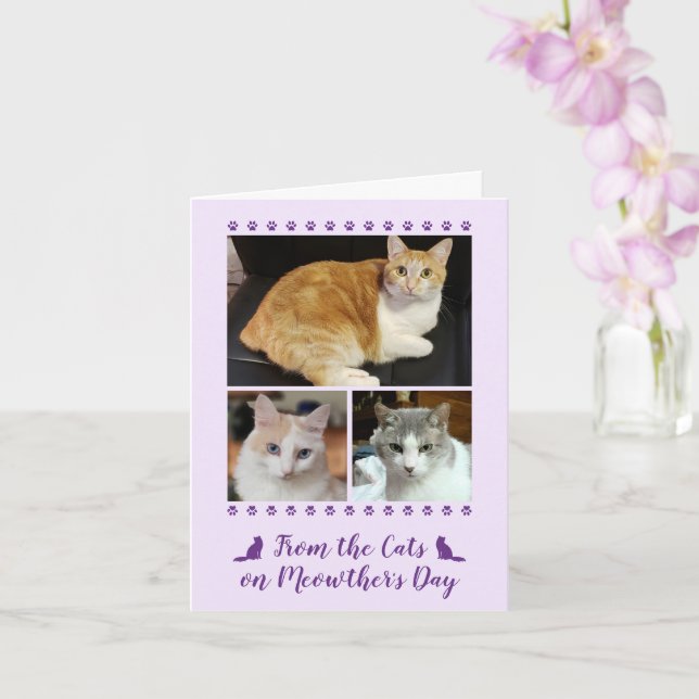 3 Photo Script Cat Dog Pet Kids Mother's Day Pink Card (Orchid)