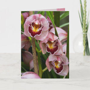 3 Pink Ladies Blooming Card