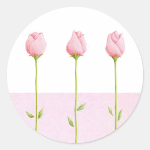 3 Pink Rosebuds Sticker