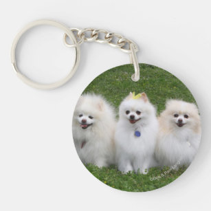 3 Pomeranians Sitting Key Ring