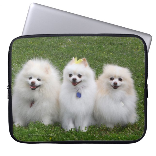 3 Pomeranians Sitting Laptop Sleeve (Front)