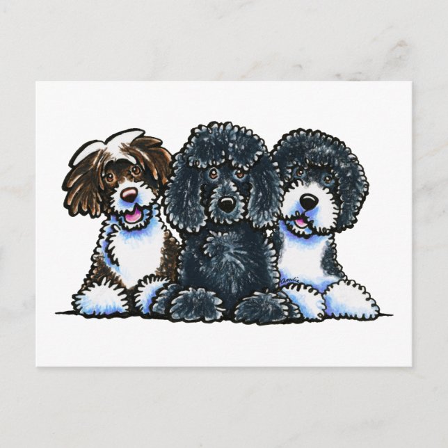 3 Portuguese Water Dogs Postcard (Front)
