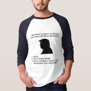 3 REASONS TO MOVE TO MEXICO T-SHIRT