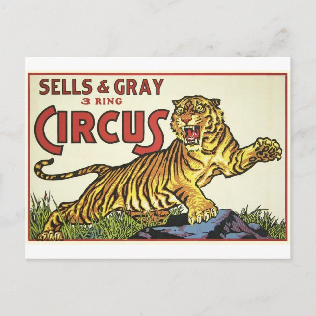 3 Ring Circus - circa 1930 Postcard (Front)