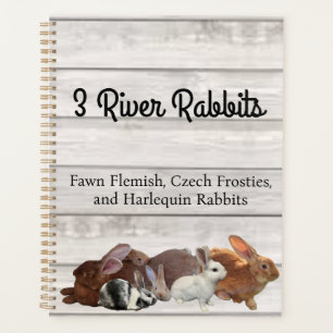 3 Rivers Rabbits Planner