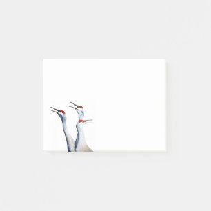 3 Sandhill Cranes Photo 4x3 Notes